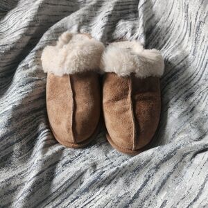UGG Scuffette II in Chestnut
